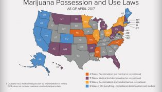Marijuana Possession and Use Laws