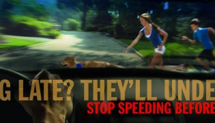 Stop Speeding Before It Stops You - Banner Ads