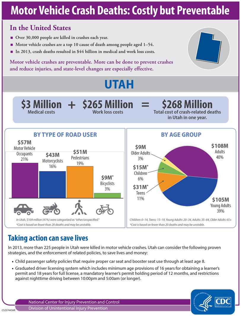 Sample Cost of Crashes Infographic Fact Sheet State Highway Safety