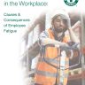 Fatigue Survey Report